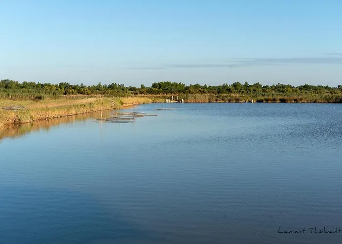 Апарт-отель Les Alcyons 3*