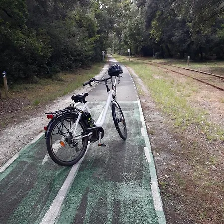 Résidence Les Alcyons