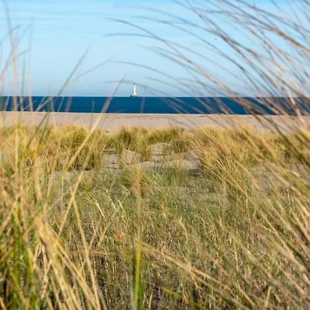 Appart hôtel Résidence Les Alcyons Le Verdon-sur-Mer