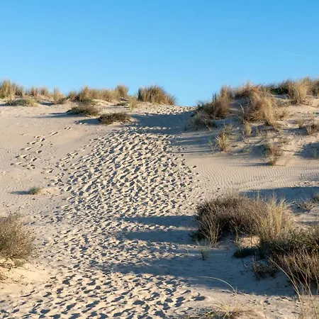 Résidence Les Alcyons Le Verdon-sur-Mer