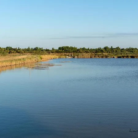Appart hôtel Résidence Les Alcyons 3*