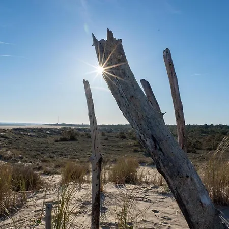 Appart hôtel Résidence Les Alcyons Le Verdon-sur-Mer