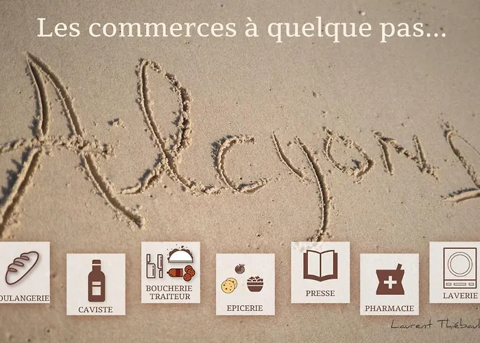 Résidence Les Alcyons Appart hôtel 3*