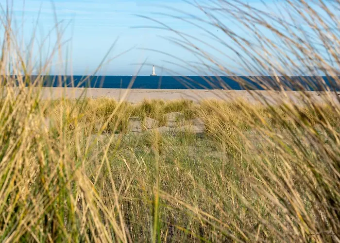 Appart hôtel Résidence Les Alcyons Le Verdon-sur-Mer