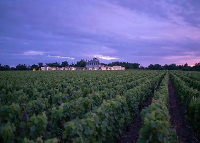 Résidence Les Alcyons Appart hôtel 3*