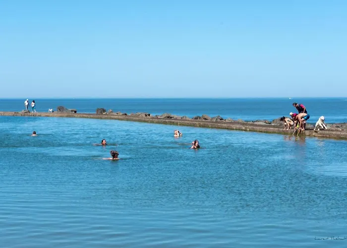 Les Alcyons Le Verdon-sur-Mer