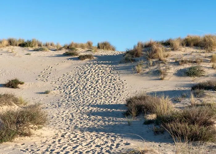 Les Alcyons Le Verdon-sur-Mer