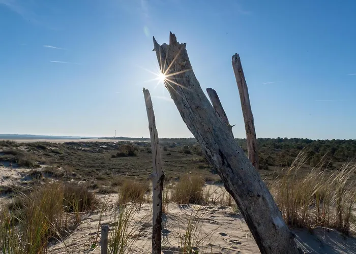 Appart hôtel Résidence Les Alcyons Le Verdon-sur-Mer